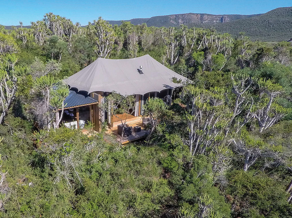 Kariega Game Reserve Settlers Drift Alexandria  Kültér fotó
