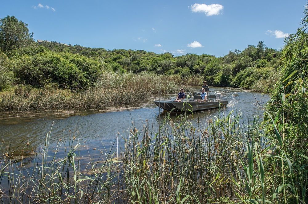Kariega Game Reserve Settlers Drift Alexandria  Kültér fotó