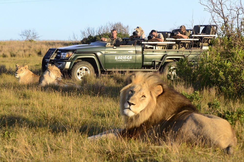 Kariega Game Reserve Settlers Drift Alexandria  Kültér fotó