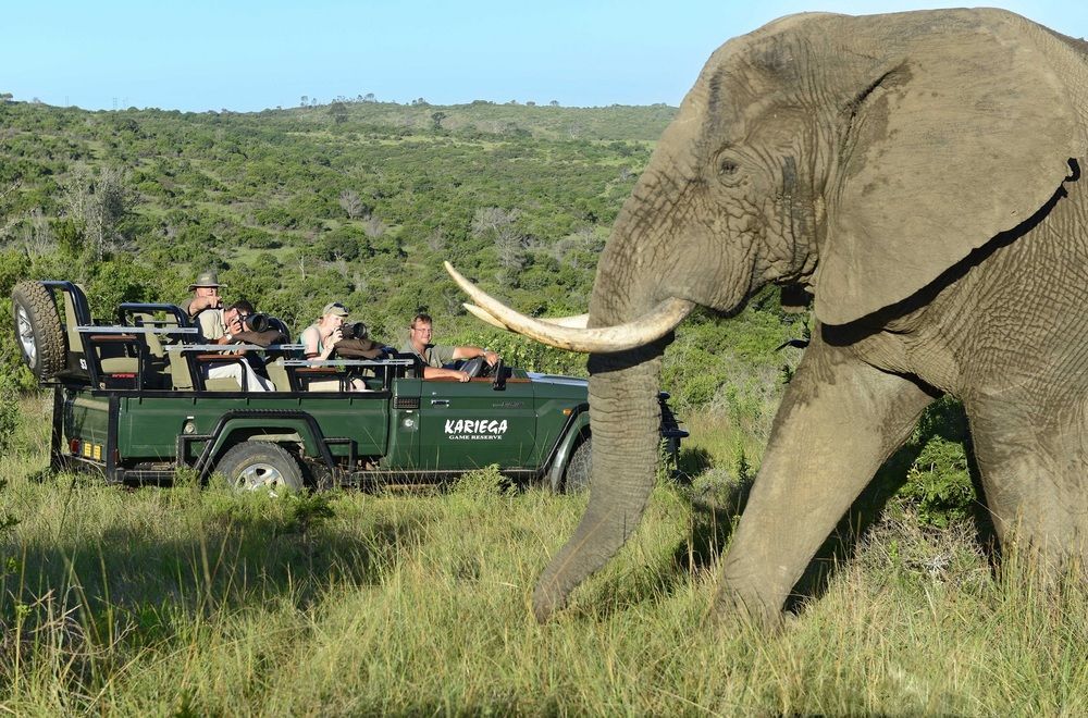 Kariega Game Reserve Settlers Drift Alexandria  Kültér fotó