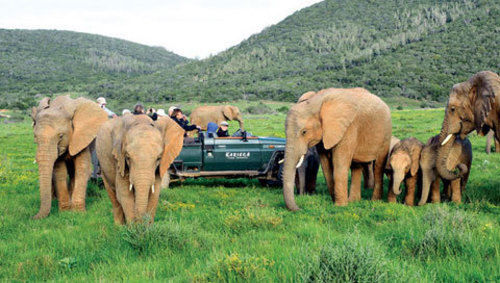 Kariega Game Reserve Settlers Drift Alexandria  Kültér fotó